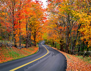 Autumn Road, 1999. East Orange, Vermont. Color Photograph