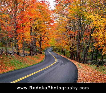 Autumn-Road-large.jpg