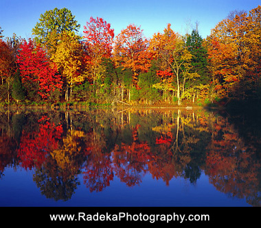 Autumn Trees and Lake, 1999. Connecticut. Color photograph