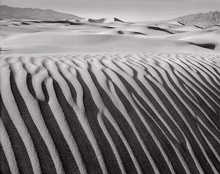 Dune Detail, Death Valley. Black and white photograph