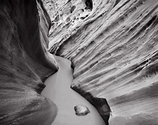 Little Wildhorse Canyon, Utah. Black and white photograph