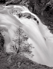 Nooksack Falls, Washington. Black and white photograph