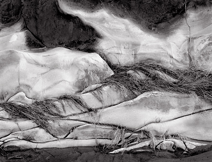 Rock Forms, Red Canyon, Utah. Black and white photograph