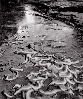 Sand and Ice, Zion National Park, Utah. Black and white photograph