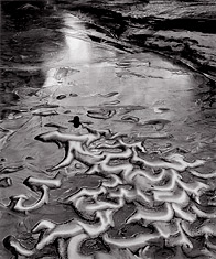 Sand and Ice, Zion National Park, Utah. Black and white photograph