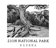 Zion Poster. Zion National Park, Utah