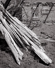 Weathered Log, Cabezon Ghost Town, New Mexico. Black and white photograph