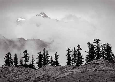 Treeline, Clearing Storm, 2004. North Cascades National Park, Washington