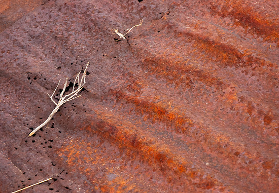 Branch-On-Rust
