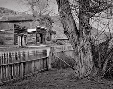 Fence and Cottonwood, Bannack, Montana. Black and white ghost town photograph