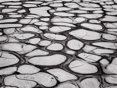 Mud Saucers, Death Valley. Black and white photograph