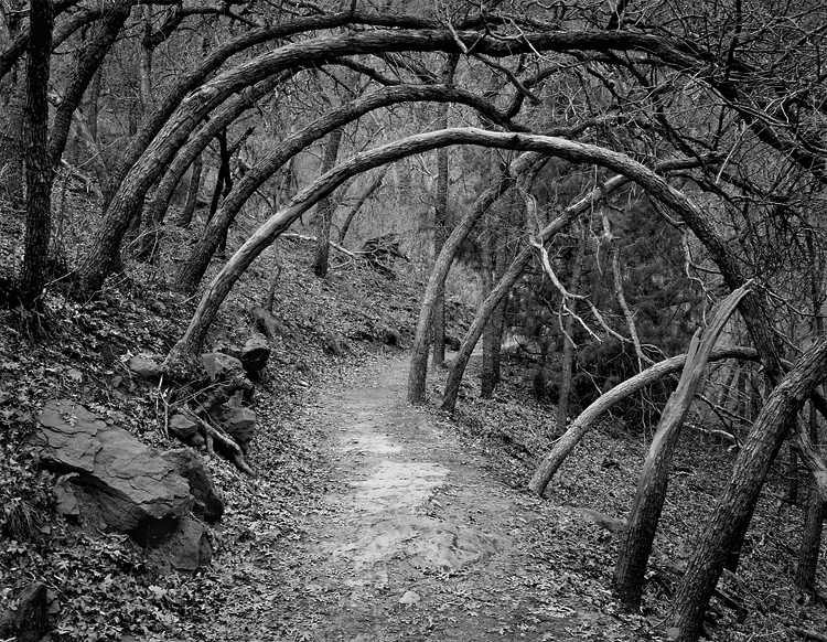 Oak Forest Trail, 1978. Zion National Park, Utah