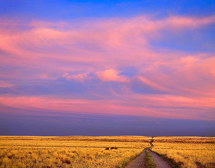 Road At Sunset, 1997. Bisti Badlands, New Mexico. Color Photograph