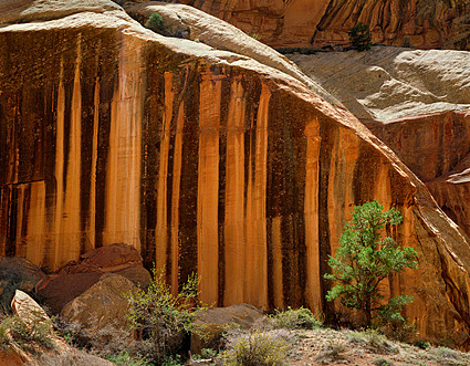 Striped Cliff, 1990. Capitol Reef National Park, Utah. Color Photograph