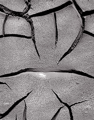 Mud Detail, New Mexico. Black and white photograph