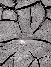 Mud Detail, Arizona. Black and white photograph