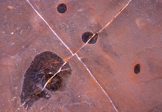 Orange-Marble-Detail