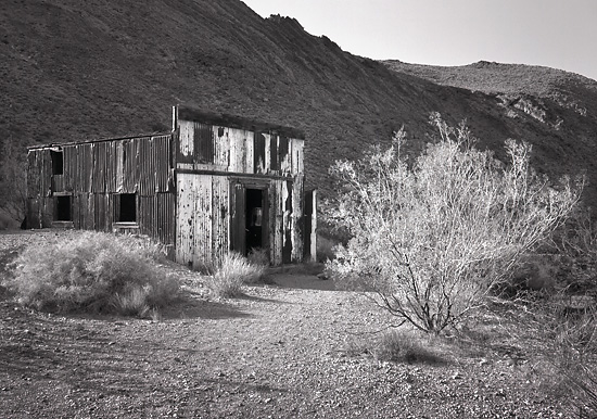 Shack-and-Bush,-Leadfield