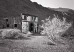 Shack-and-Bush,-Leadfield